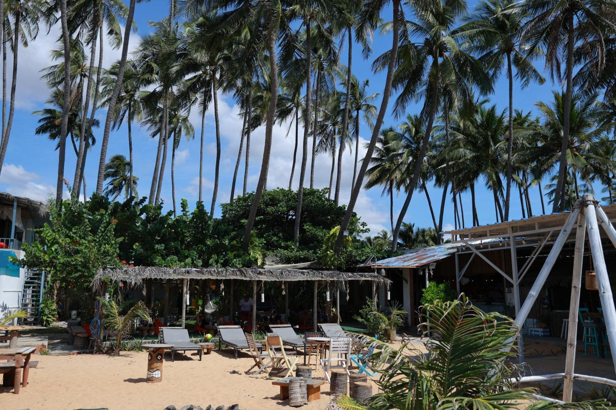 Eva Hut Mui Ne Beach Hostel Eksteriør billede
