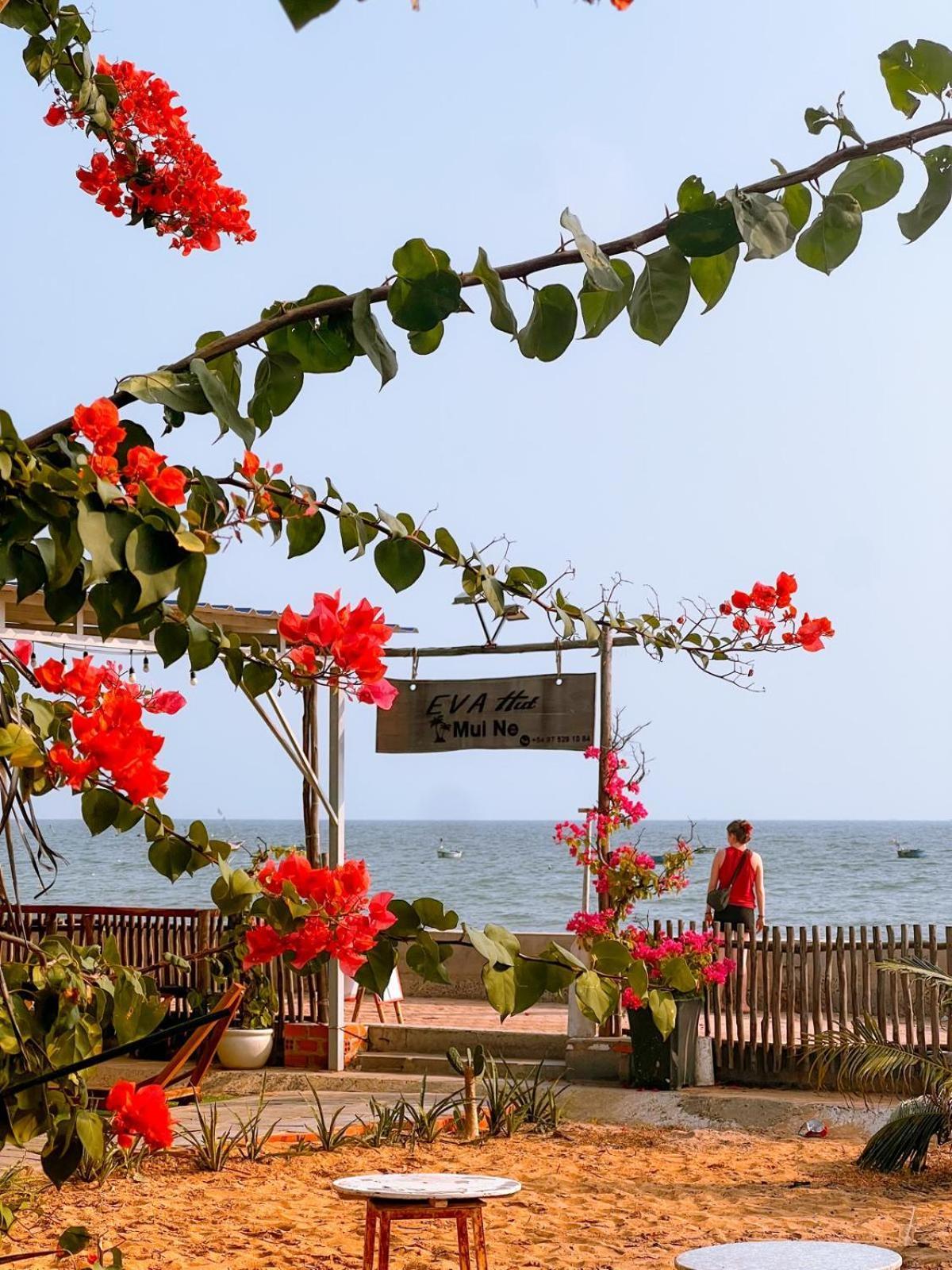 Eva Hut Mui Ne Beach Hostel Eksteriør billede